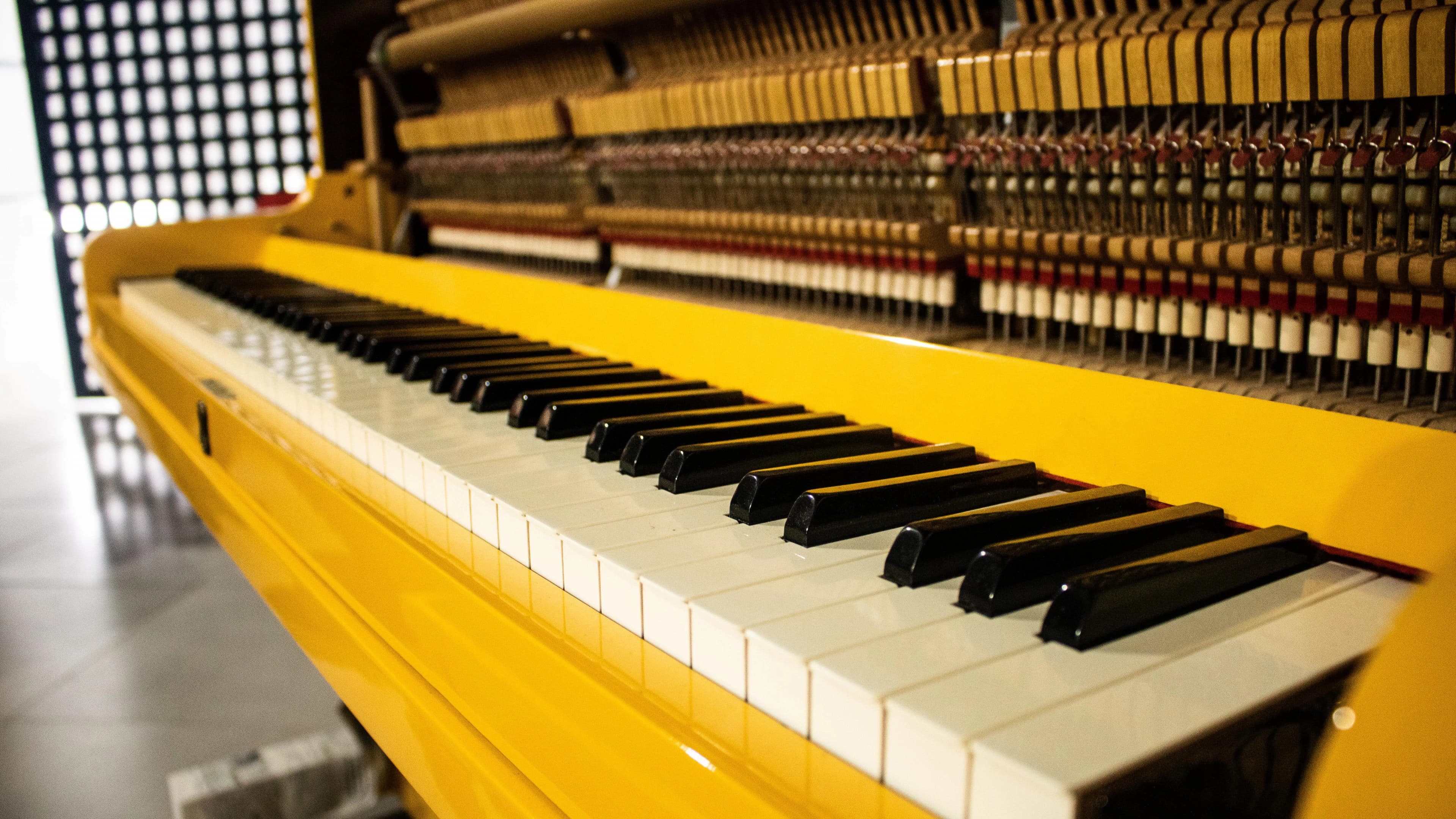 Đàn Piano & Organ